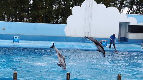 日帰り旅行 マリンピア日本海へ【桐鈴凛々159号より⑤】