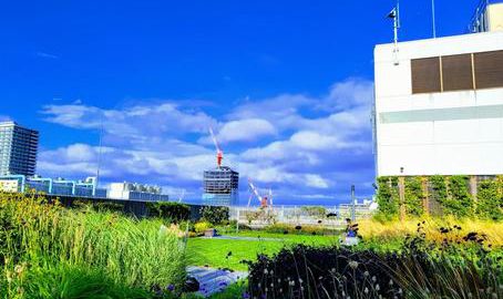 「過去は変えられないけれど…」徒然なる過ごし方のススメ出張版【桐鈴凛々164号より⑫】