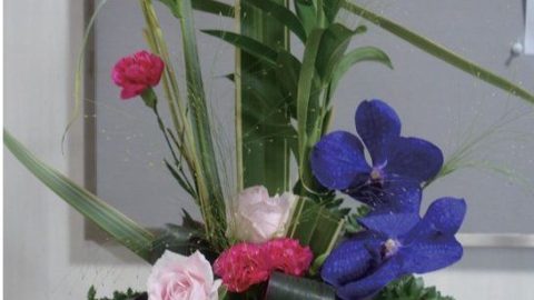 なごみの花【桐鈴凛々166号より②】